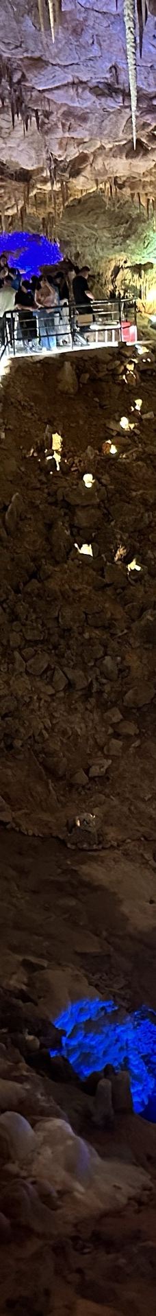 古猿人洞-南京-大象爱河马