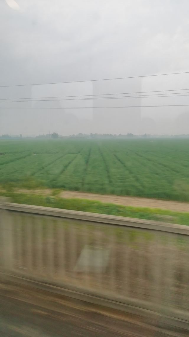 乐华城·88摄氏度温泉乐园(暂停开放)旅行图片 2