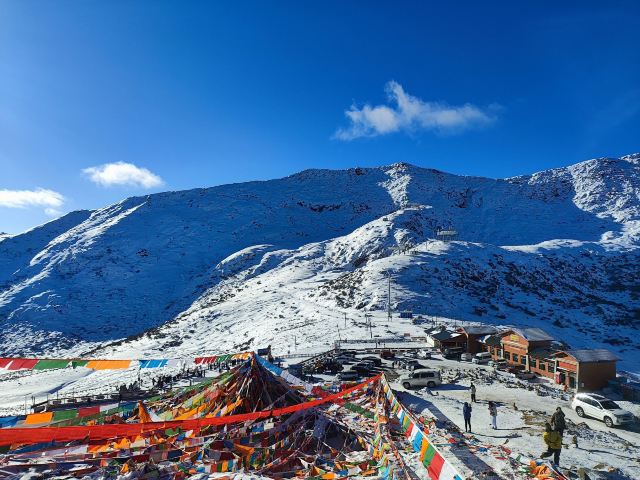 鲁朗林海风景区旅行图片 9