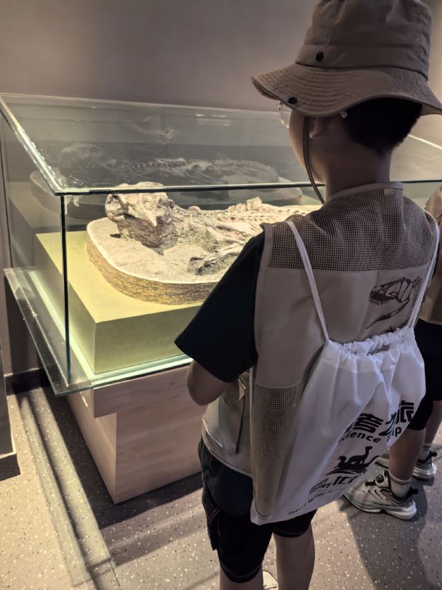 朝阳化石谷旅行图片 4