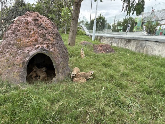 森灵欢乐世界旅行图片 5