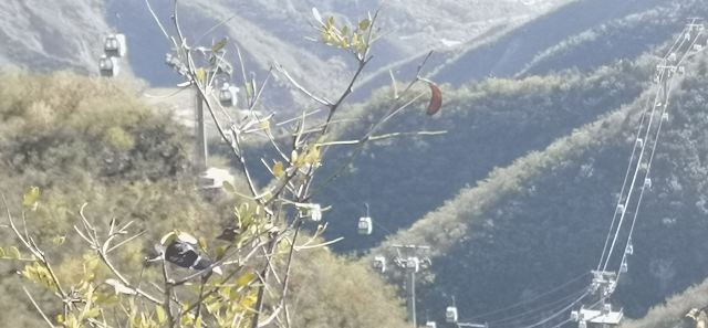 千灵山旅行图片 3