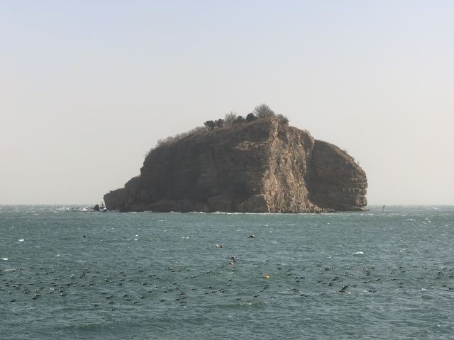 棒棰岛旅行图片 1