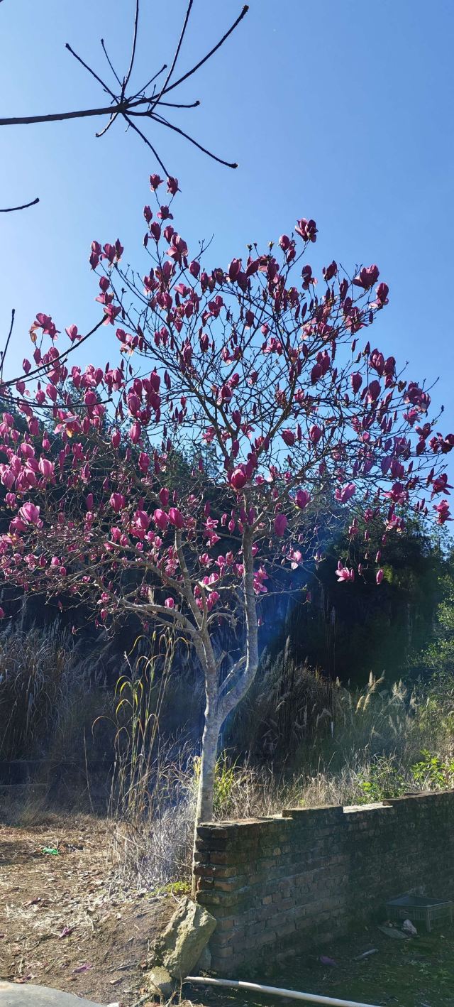 九鲤湖风景区旅行图片 8