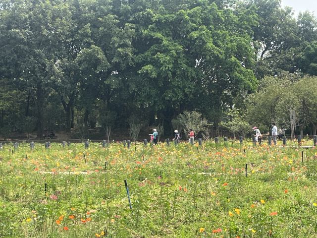 广州海珠国家湿地公园旅行图片 1