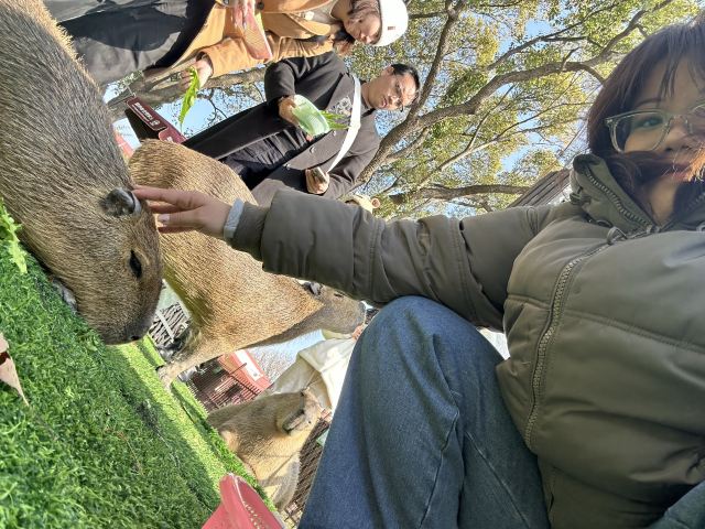 上海野生动物园旅行图片 2