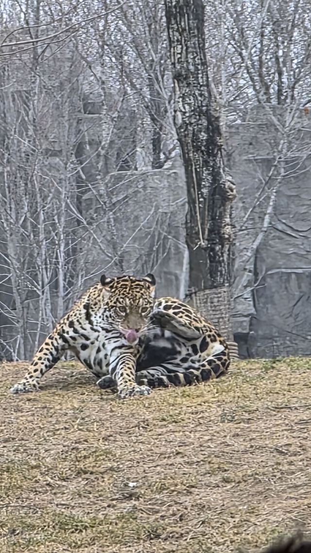 北京野生动物园旅行图片 2