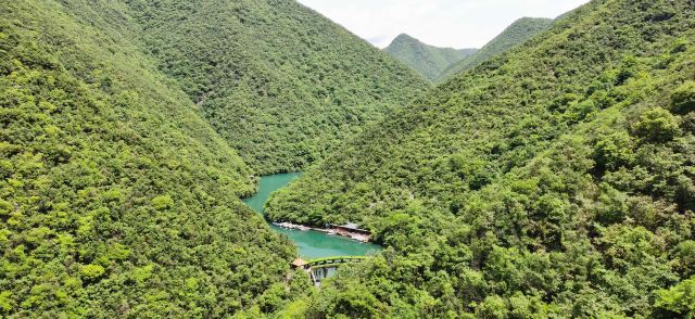 五龙河风景区旅行图片