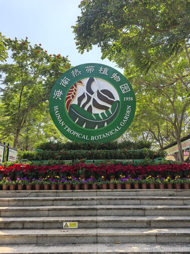 海南热带植物园旅行图片 1