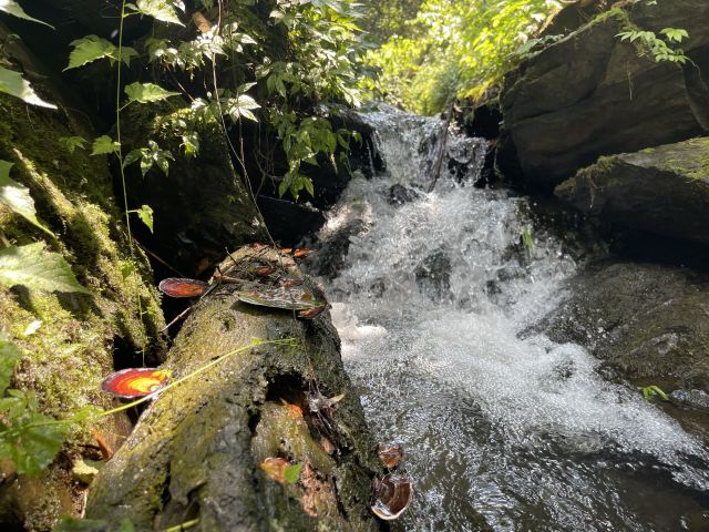 皇龙大峡谷旅行图片 9