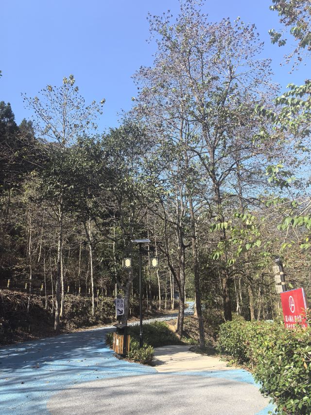 南雄帽子峰旅游景区旅行图片 9