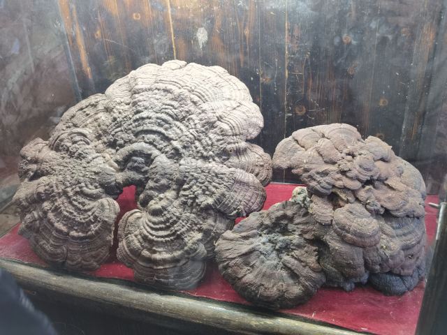 宜良九乡风景区旅行图片 5