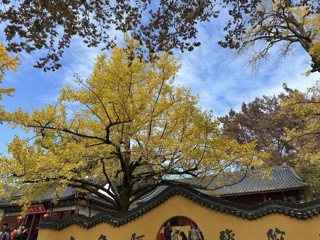 八都岕八都堰旅行图片 1