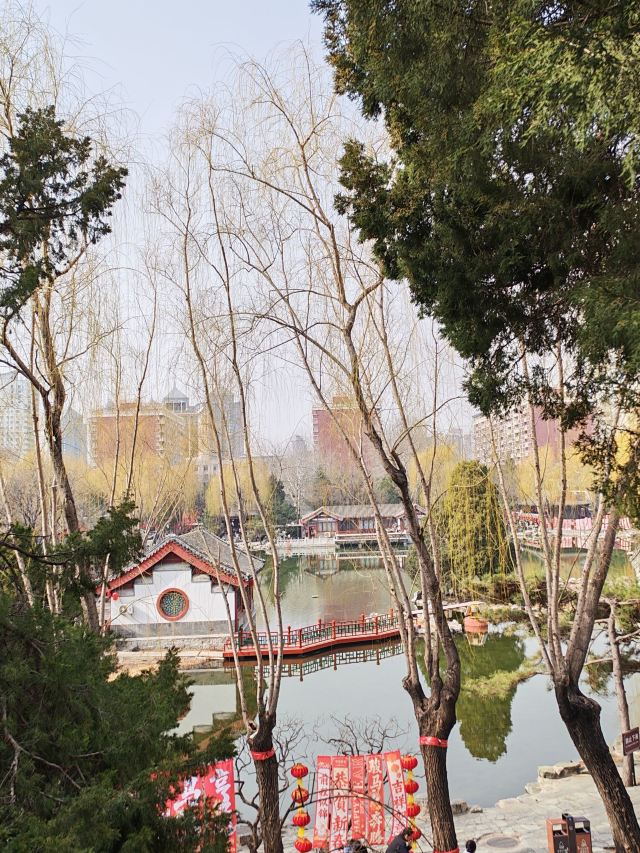 大观园旅行图片 6