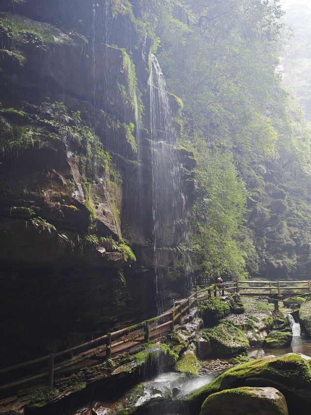 碧峰峡风景区旅行图片 1
