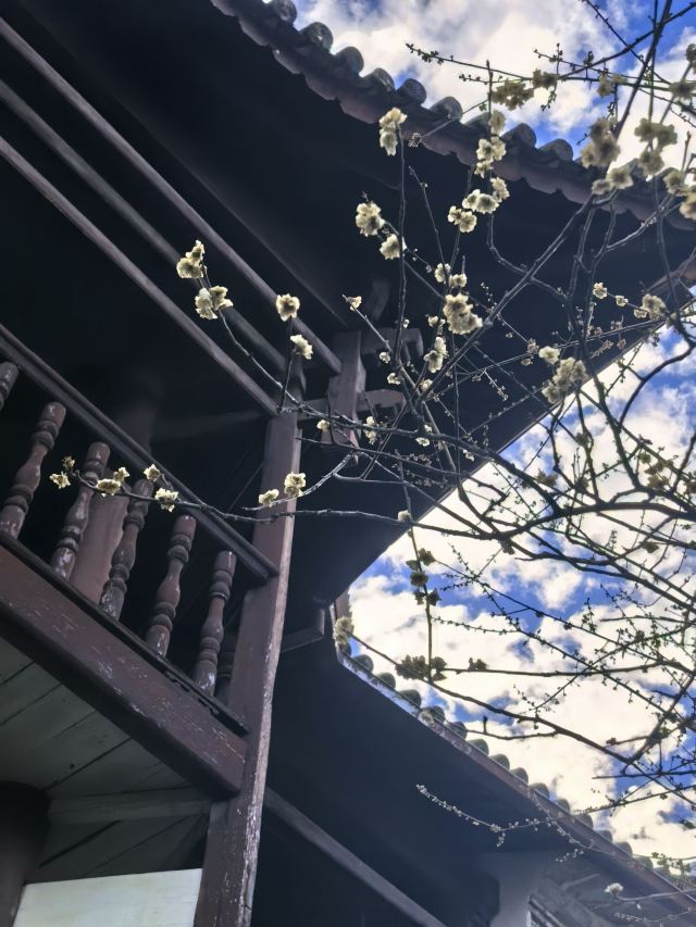 和顺古镇景区旅行图片 5