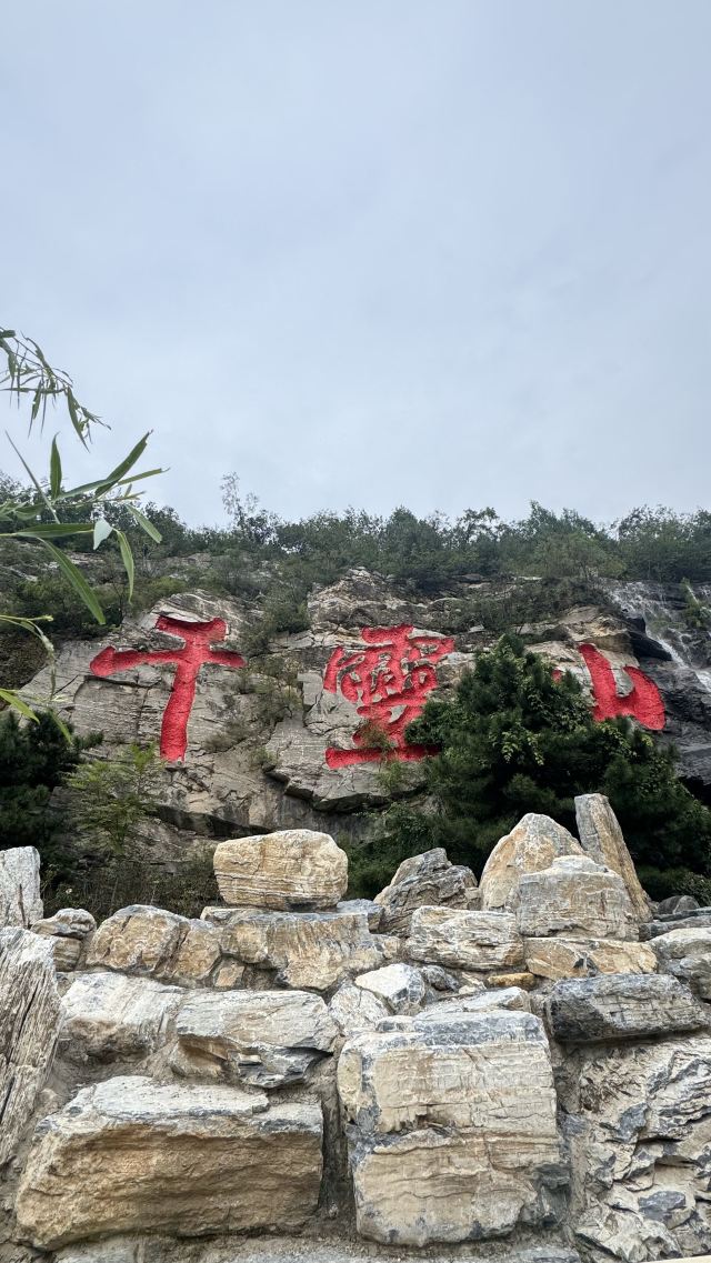 千灵山旅行图片 1