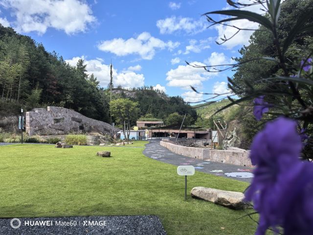千鹦鸟舍鹦鹉主题乐园旅行图片 2