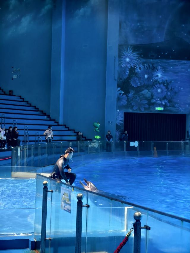 长沙湘江海洋王国旅行图片 8