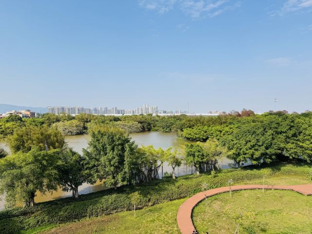 小鸟天堂旅行图片 1
