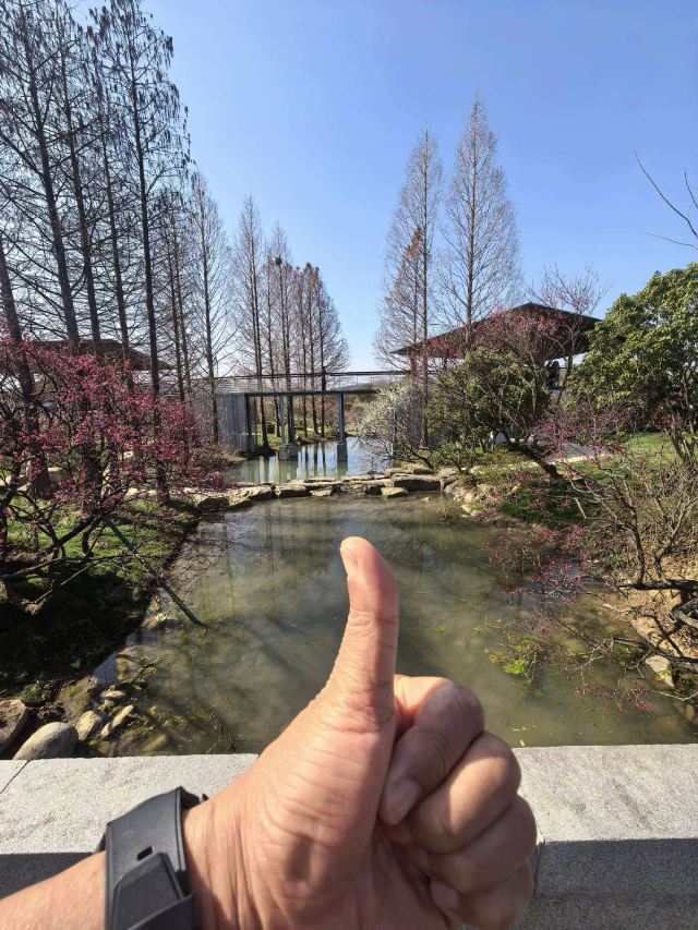 荣氏梅园旅行图片 3