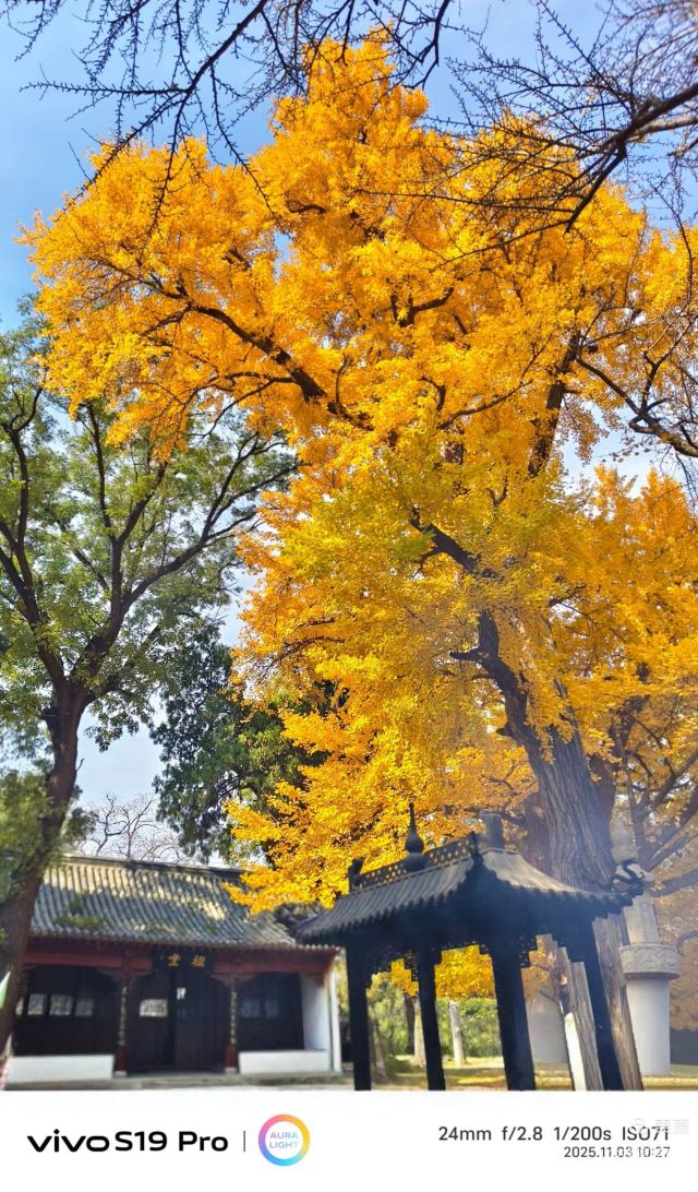 灵岩寺景区旅行图片 2