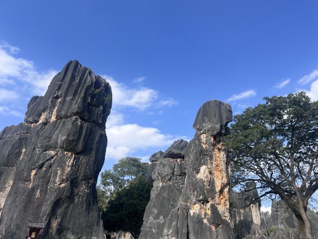 石林风景区旅行图片 7