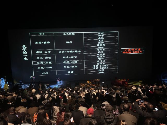 只有河南·戏剧幻城旅行图片 6