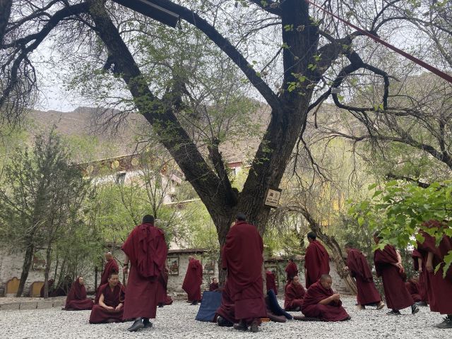 色拉寺旅行图片 1