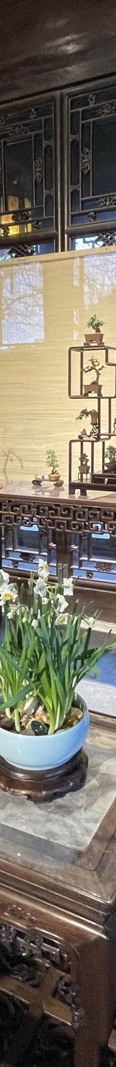 拙政园-苏州-Freedom花郎斩