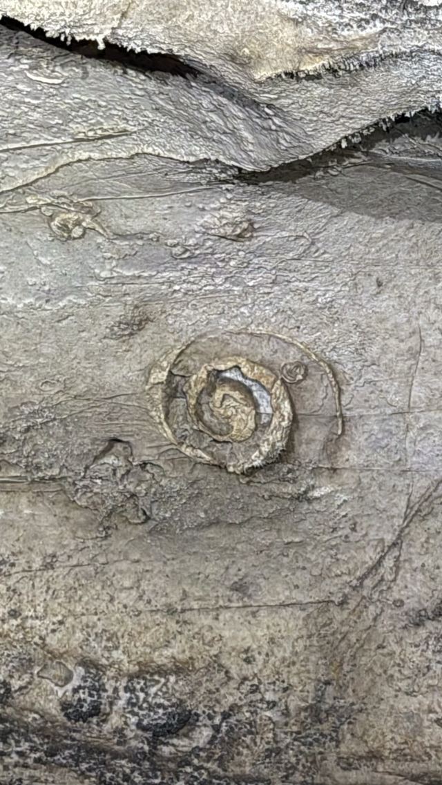 平塘天硐旅行图片 8