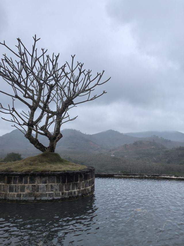 云舍松涛·海南中国村旅行图片 5