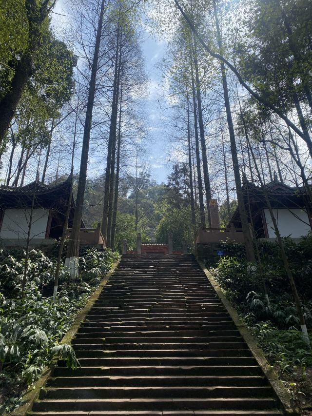 中岩寺景区旅行图片 7