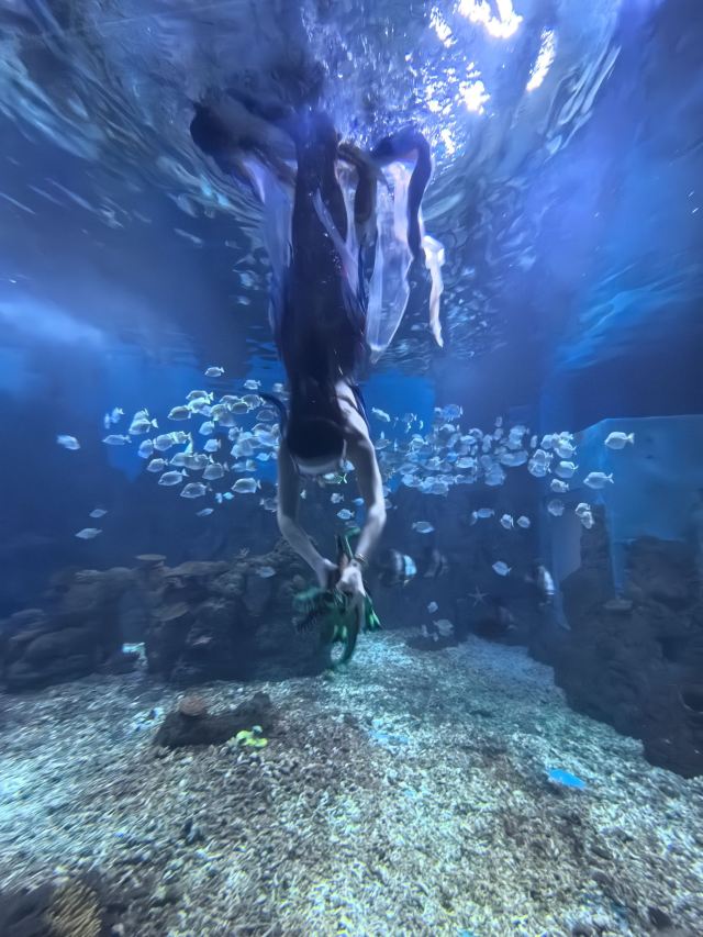 广汉海昌海洋探索馆旅行图片 2