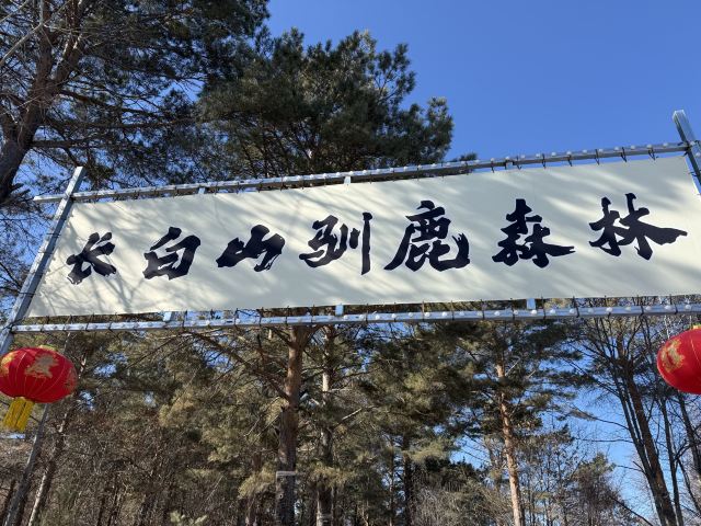 长白山雪绒花驯鹿园旅行图片 1
