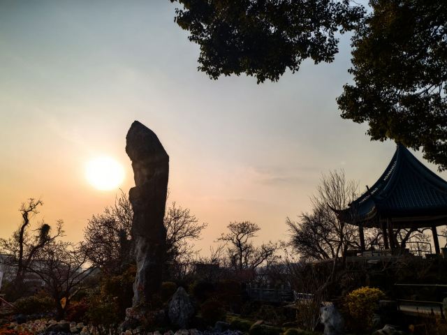 荣氏梅园旅行图片 6