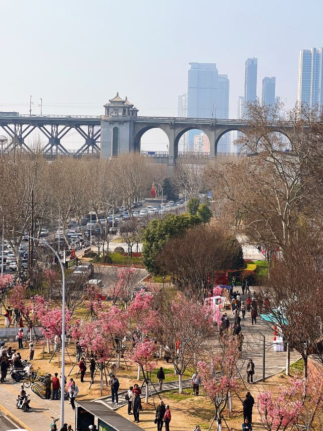 晴川阁旅行图片 1