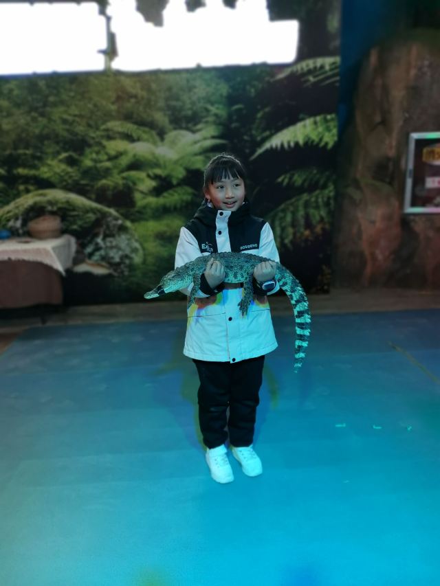 九江海底世界旅行图片 2