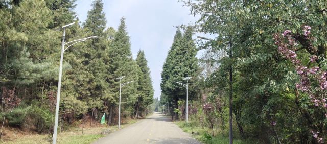 珠江源风景区旅行图片 6