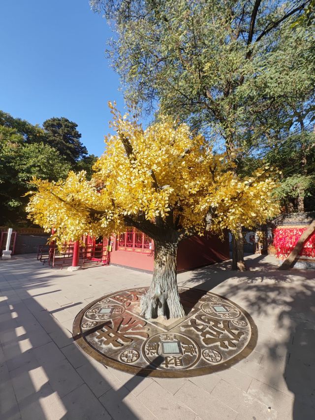 青岩寺风景区旅行图片 3