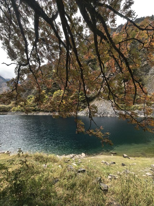 叠溪松坪沟景区旅行图片 4