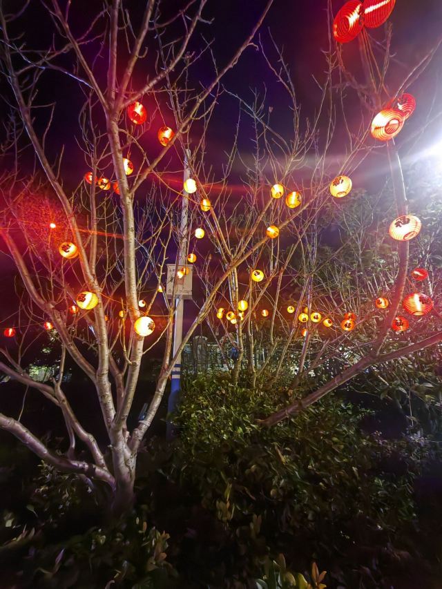 南通濠河风景名胜区旅行图片 8