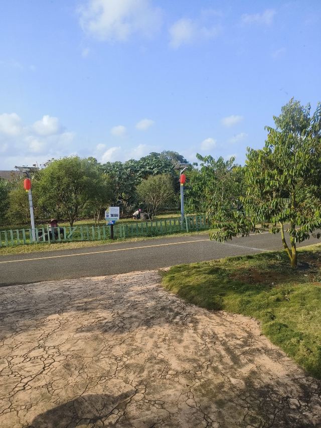 世界热带水果之窗(海南盛大共享农庄)旅行图片 1