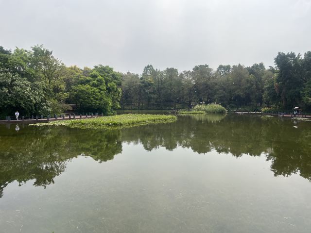 广州海珠国家湿地公园旅行图片 7