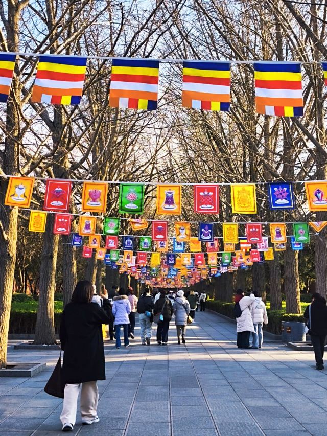 雍和宫旅行图片