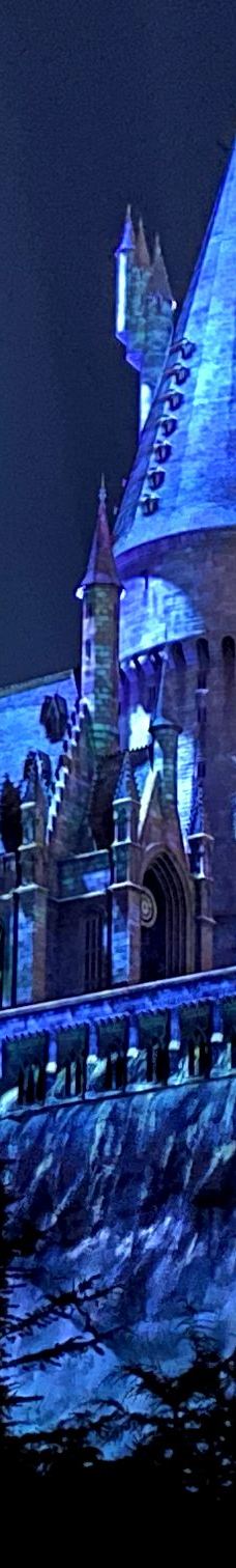 好莱坞环球影城-洛杉矶-晓树林要旅行