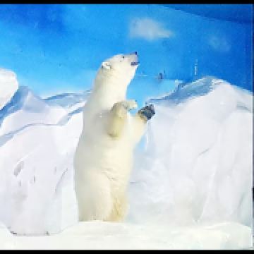 中秋国庆“两节”期间 我市将伴有降温降雨天气