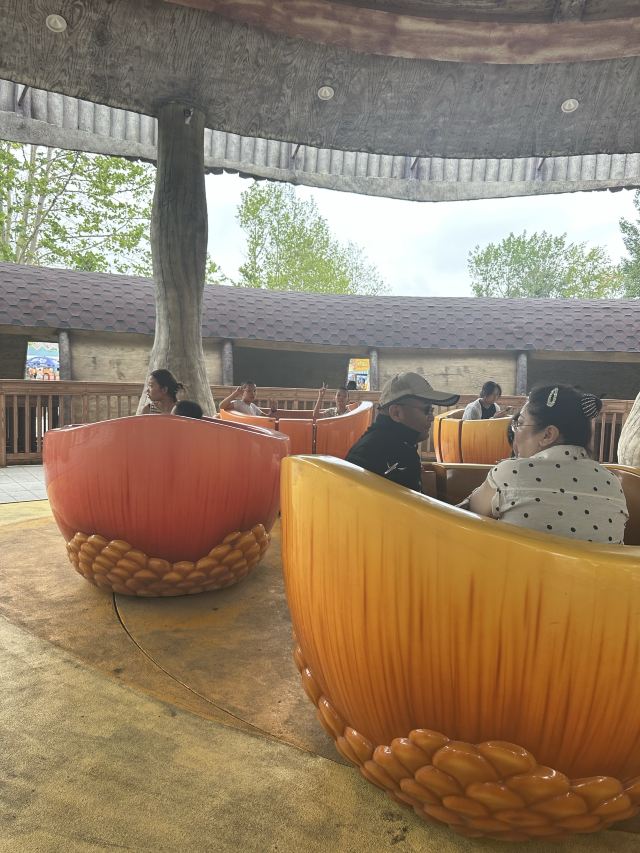 南戴河国际娱乐中心(暂停营业)旅行图片 2