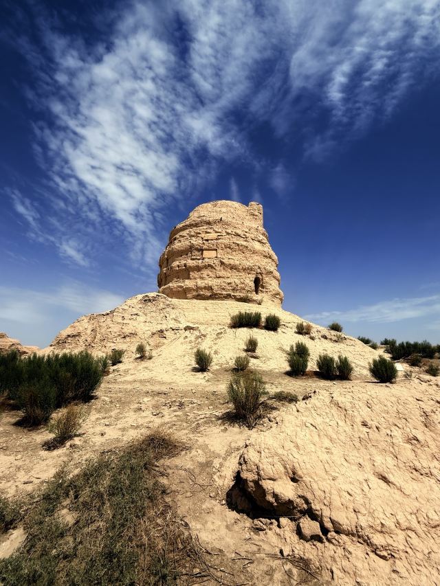 锁阳城遗址旅行图片 6