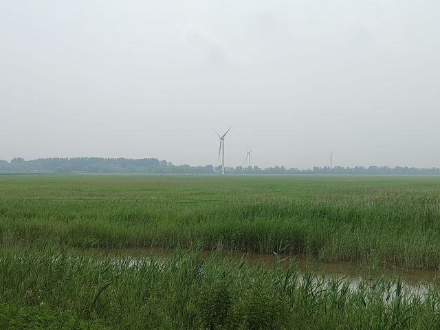 野鸭湖国家湿地公园旅行图片 8